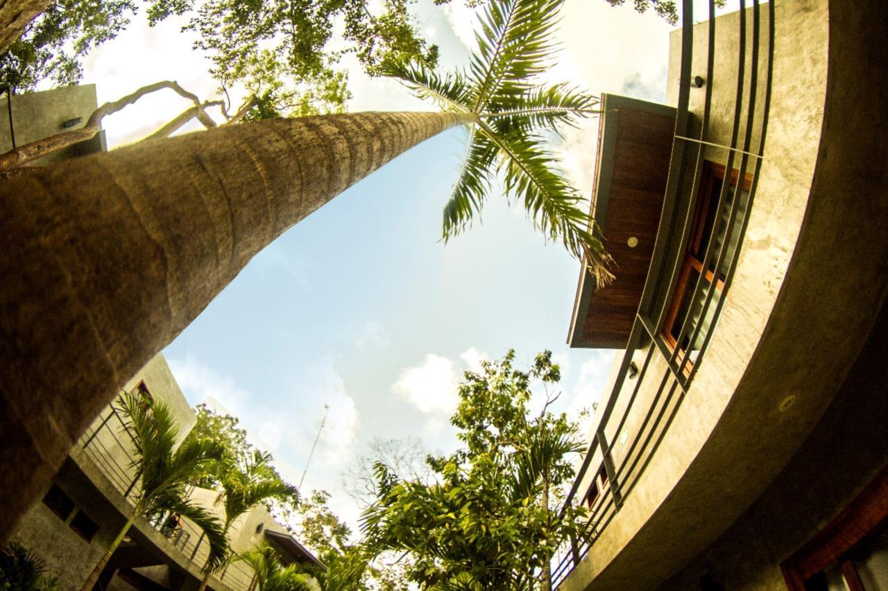 Solera Tulum With Pool Hotel Exterior photo